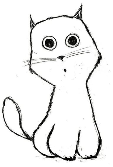 Cat Drawing