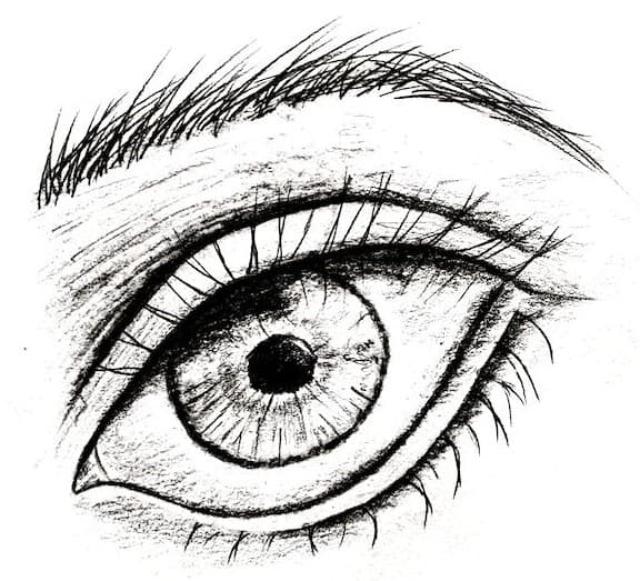 Eye Drawing